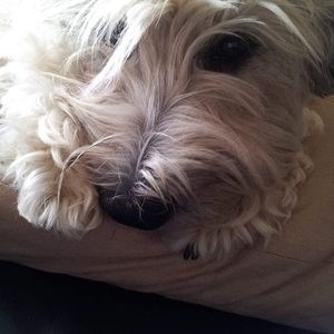 Meet your Posher, Valerie